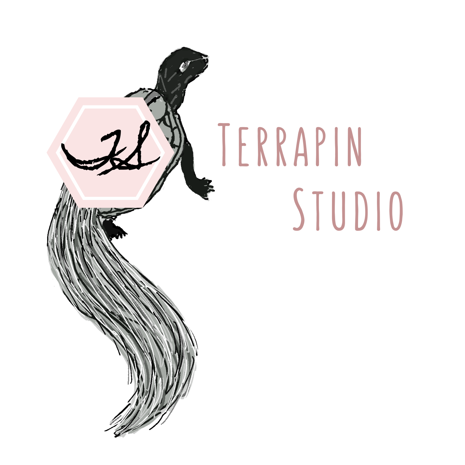 terrapin studio logo